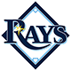 Tampa Bay Team Logo