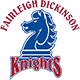 Fairleigh Dickinson Team Logo