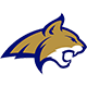 Montana St. Logo