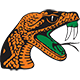 Florida A&M Team Logo