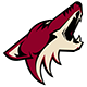 Arizona Team Logo