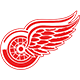 Detroit Team Logo
