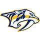 Nashville Team Logo