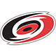 Carolina Team Logo