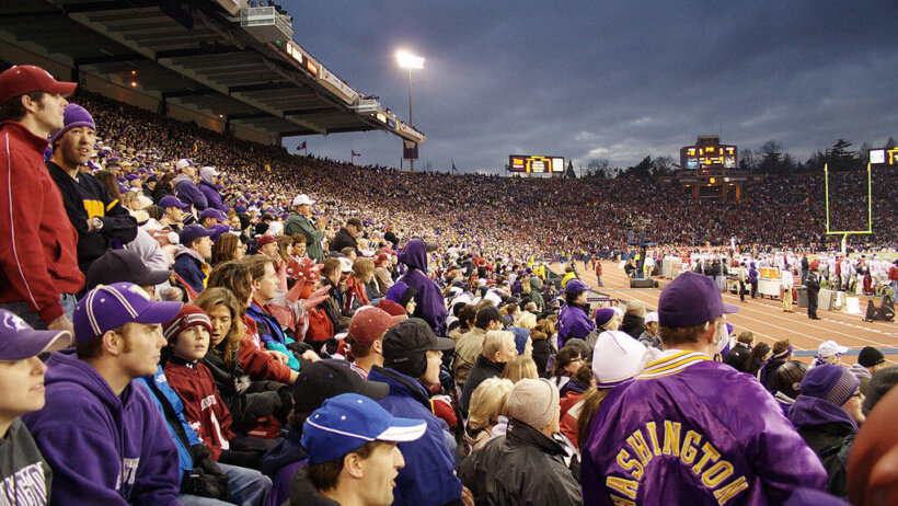 Apple Cup