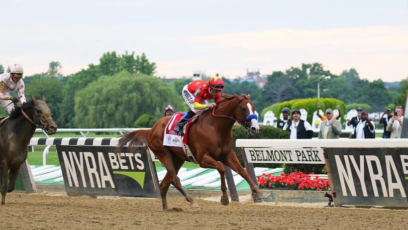 Justify Horse