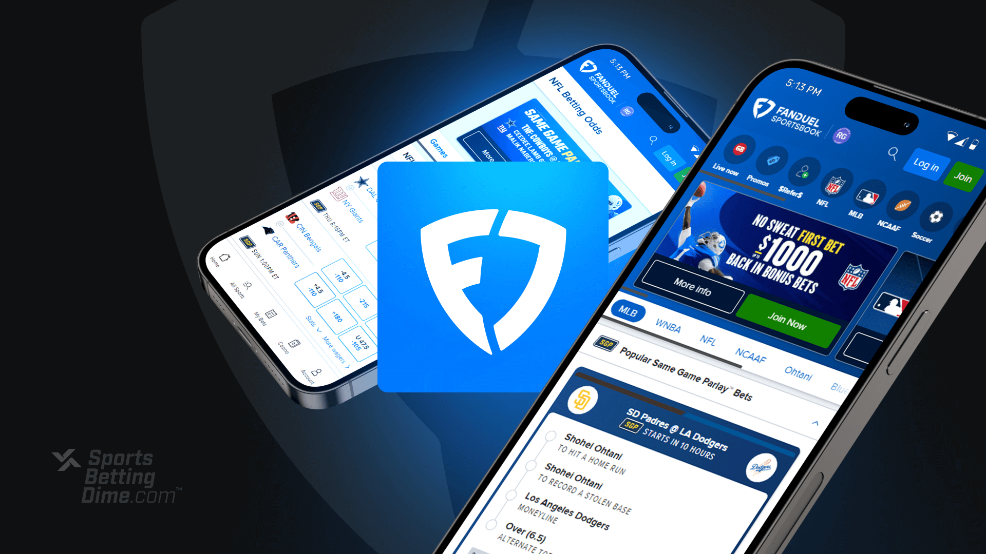 Fanduel Networth