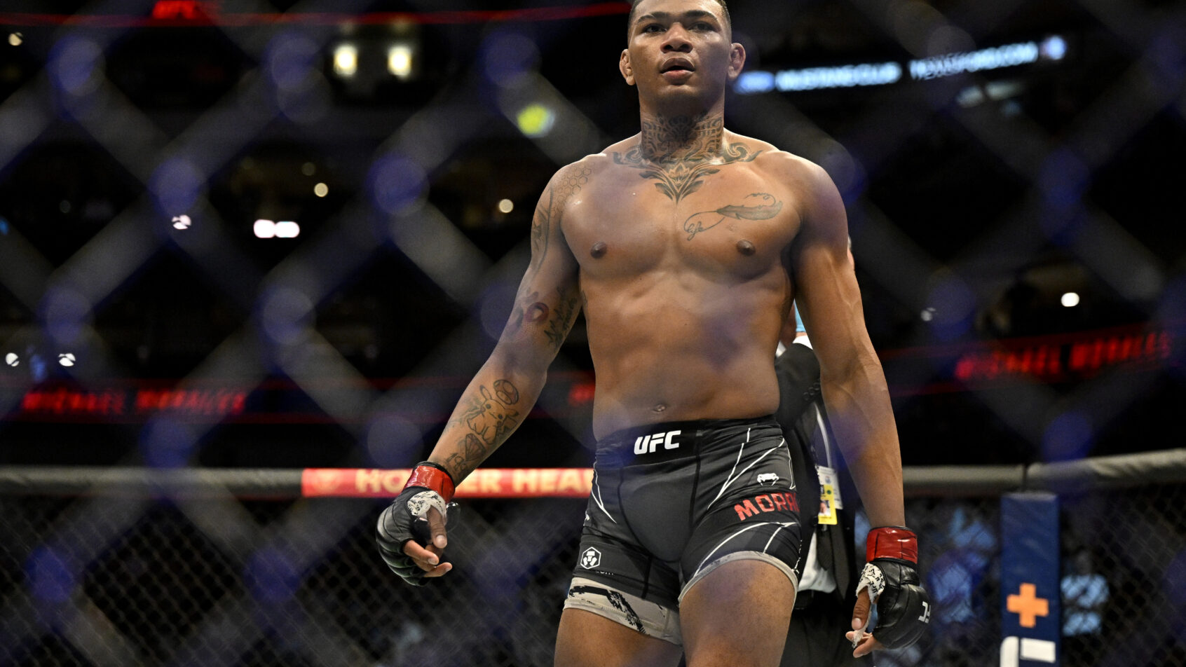 UFC Fight Night: Burns vs Morales Odds