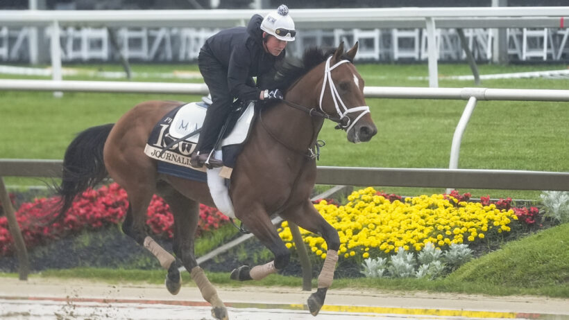 Preakness Stakes entry, Journalism breezes during morning workouts