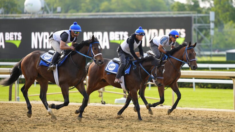 The horses breeze through their workouts but soon they do it for real at the 157th Belmont Stakes.