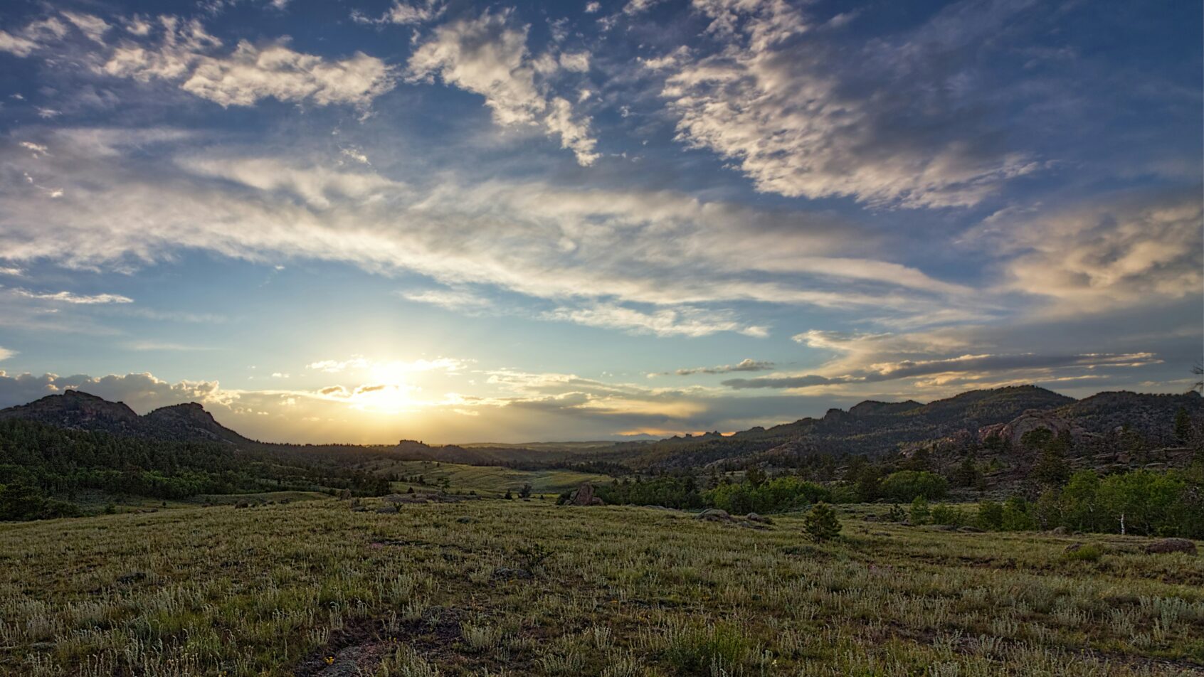 Photo by Claud Richmond on Unsplash