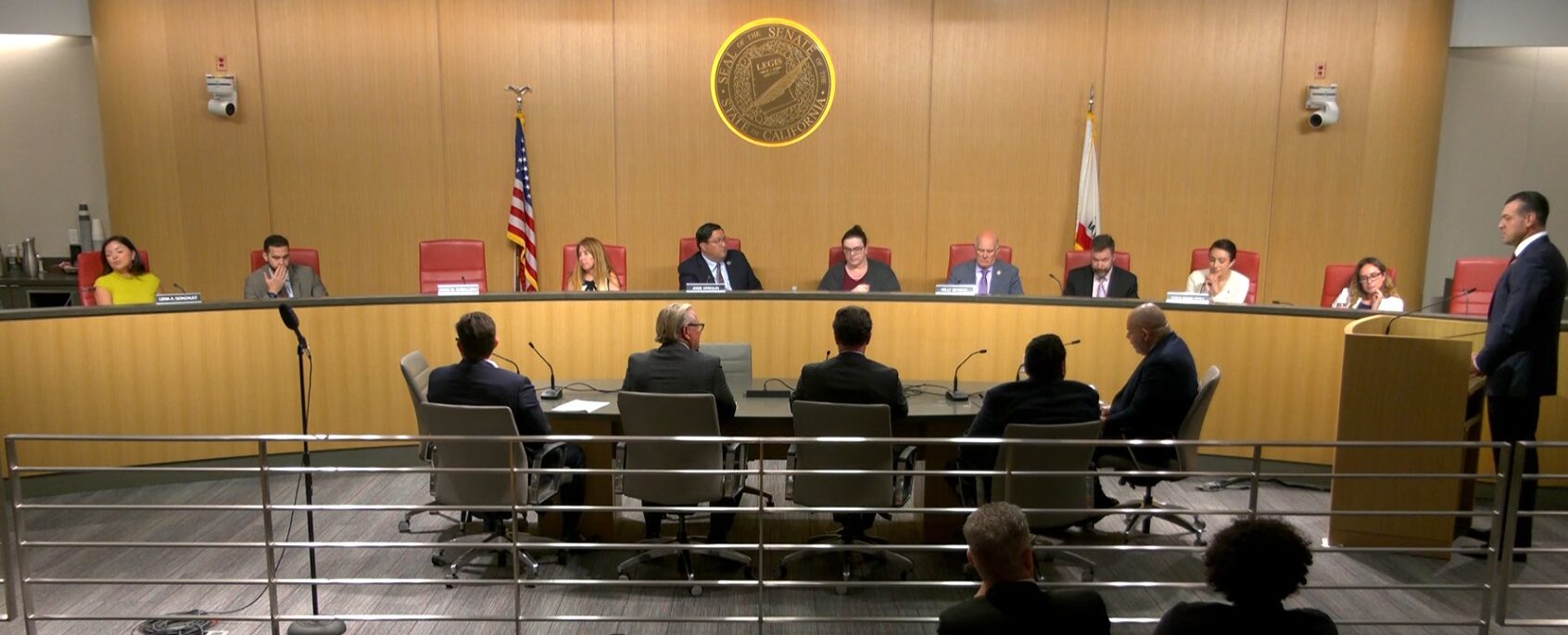 California Senate Public Safety Committee.