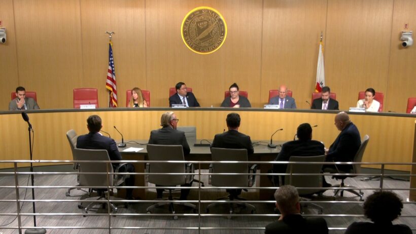 California Senate Public Safety Committee.