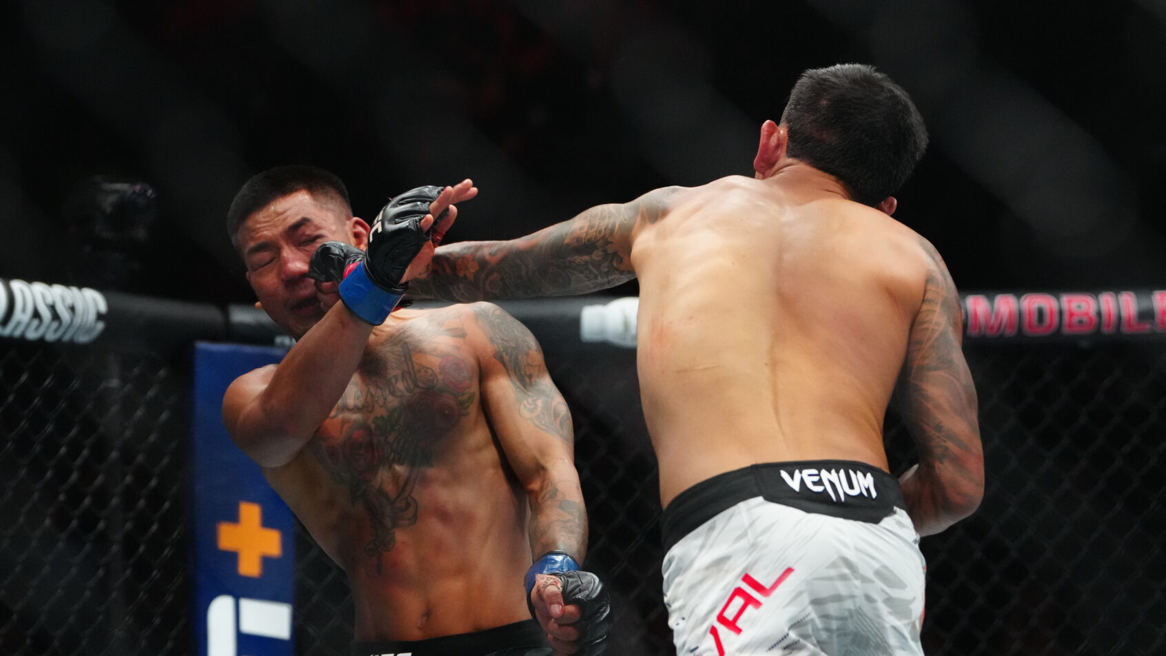 BRANDON-ROYVAL-LUTA-CONTRA-JOSHUA-VAN-NO-UFC-317-EM-LAS-VEGAS