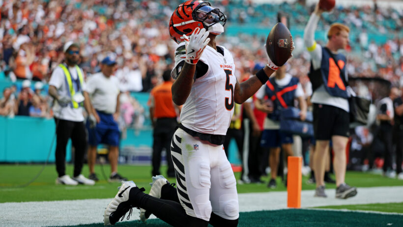 Tee Higgins celebrates a touchdown catch.