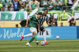 Palmeiras X Botafogo Odds, Previsões e Palpites de Apostas no Brasileirão — 7ª rodada