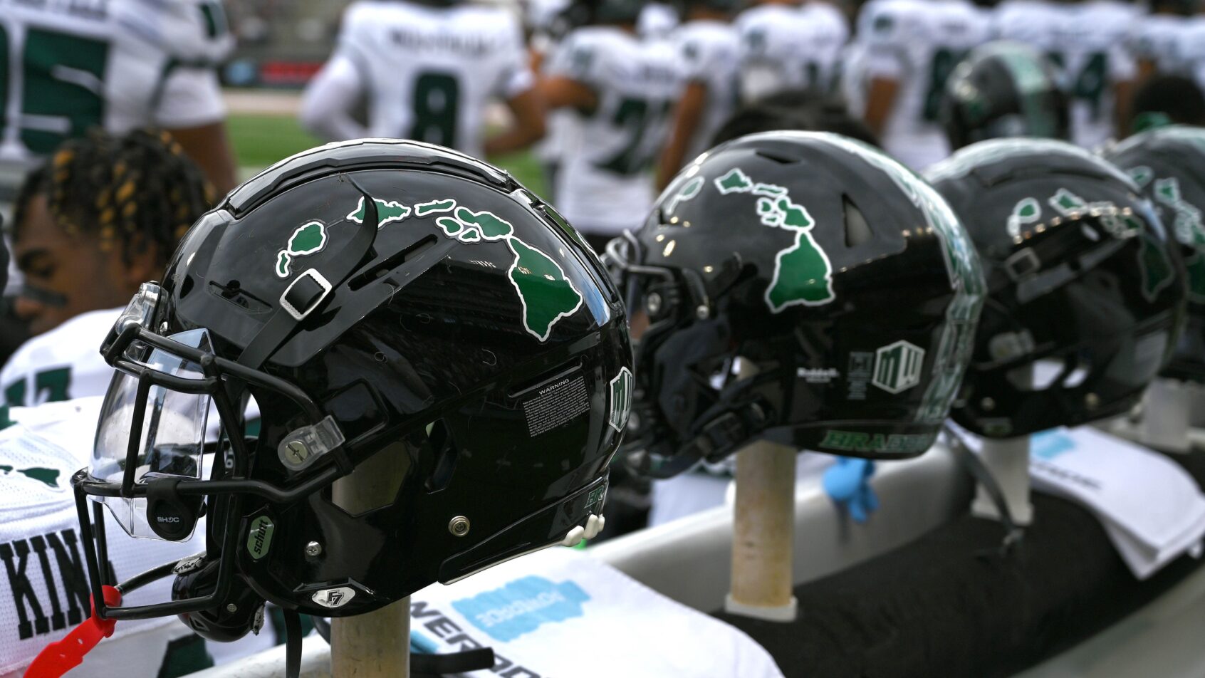 NCAA Football: Hawaii at Washington State