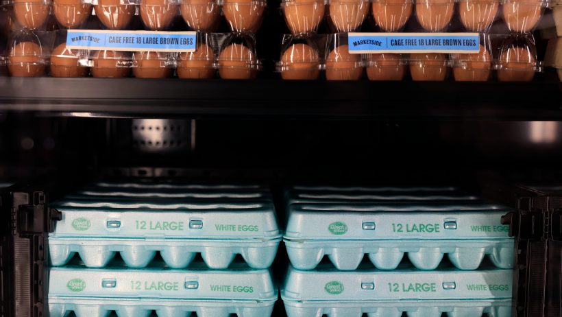trade odds egg prices this month trump state of the union