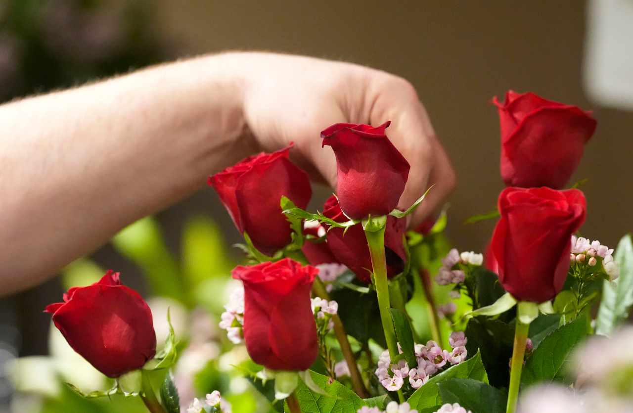 Hard Rock Bet Casino