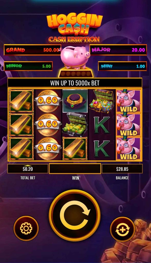 Cash Eruption Hoggin Cash