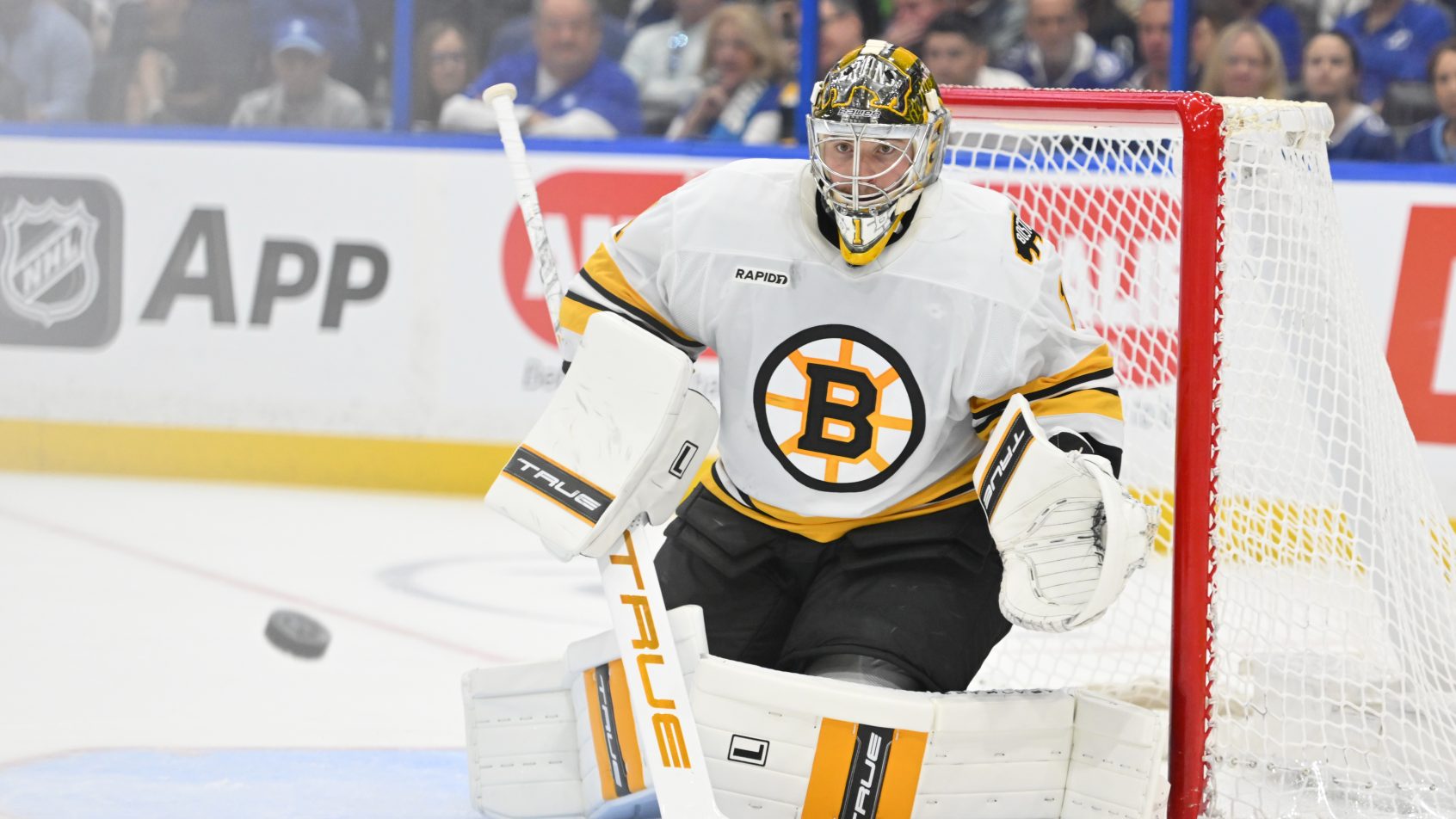 Jeremy Swayman turns aside a shot versus the Lightning.