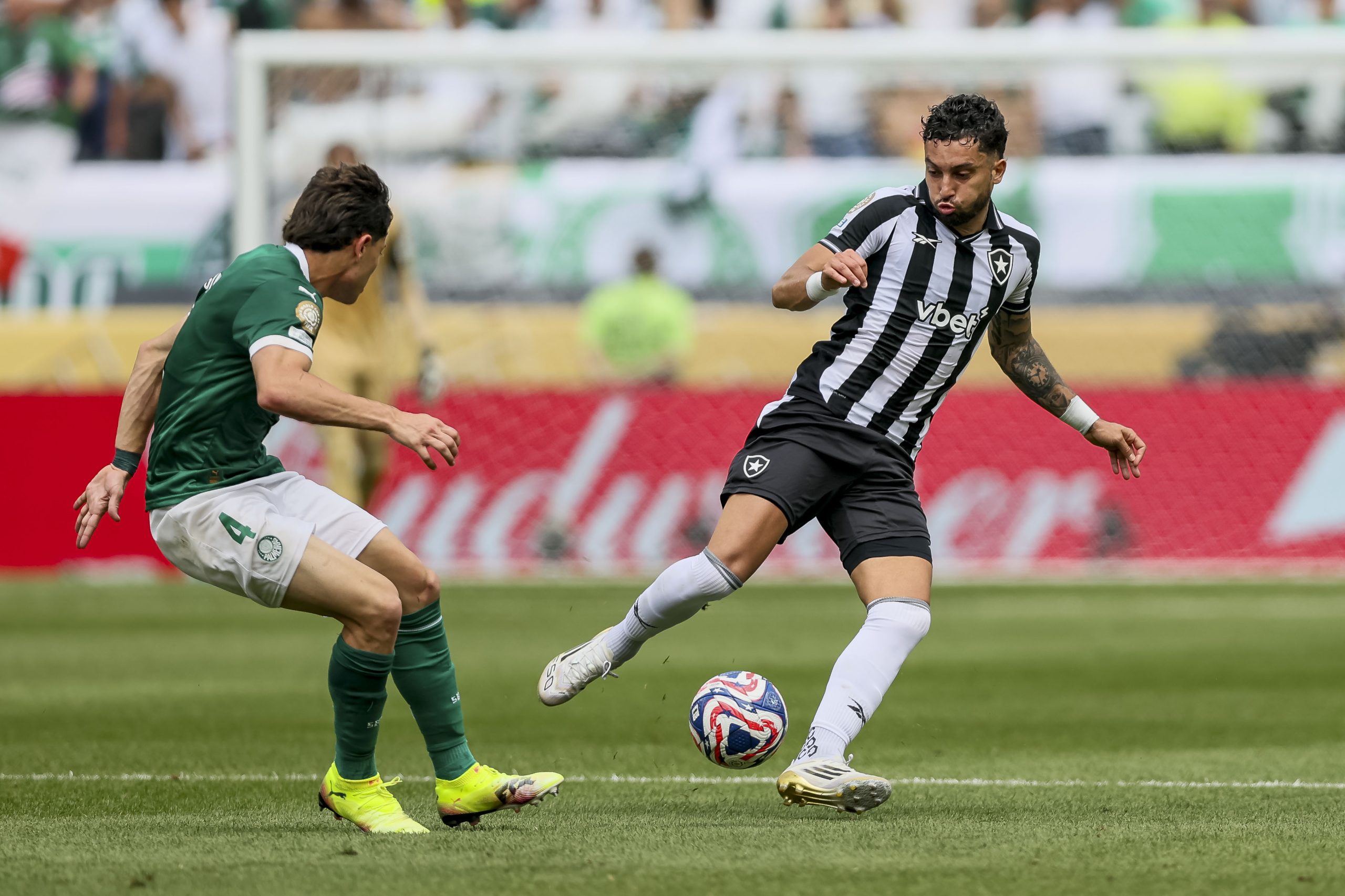Botafogo X Racing Odds, Apostas e Palpites Sul-Americana