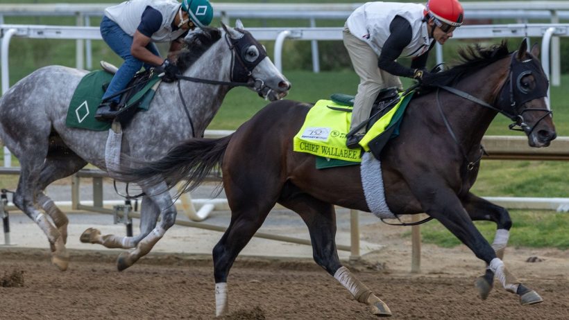 The 152nd running of the Kentucky Derby is near. At SBD, we offer our picks and more on the race.