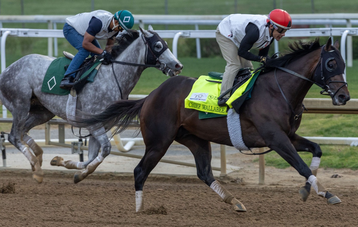 The 152nd running of the Kentucky Derby is near. At SBD, we offer our picks and more on the race.