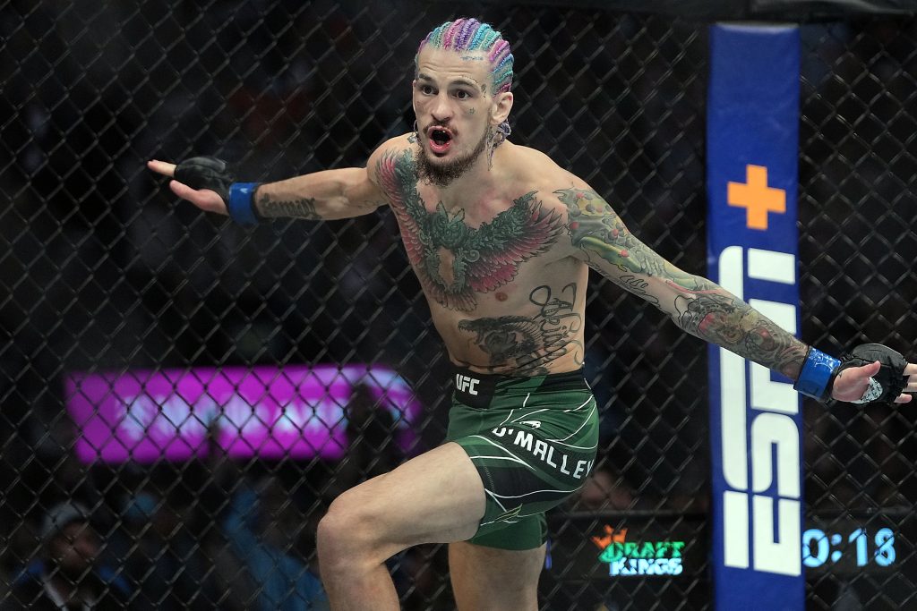 Early Sean O’Malley vs. Aiemann Zahabi Pick & Prediction for UFC Freedom 250