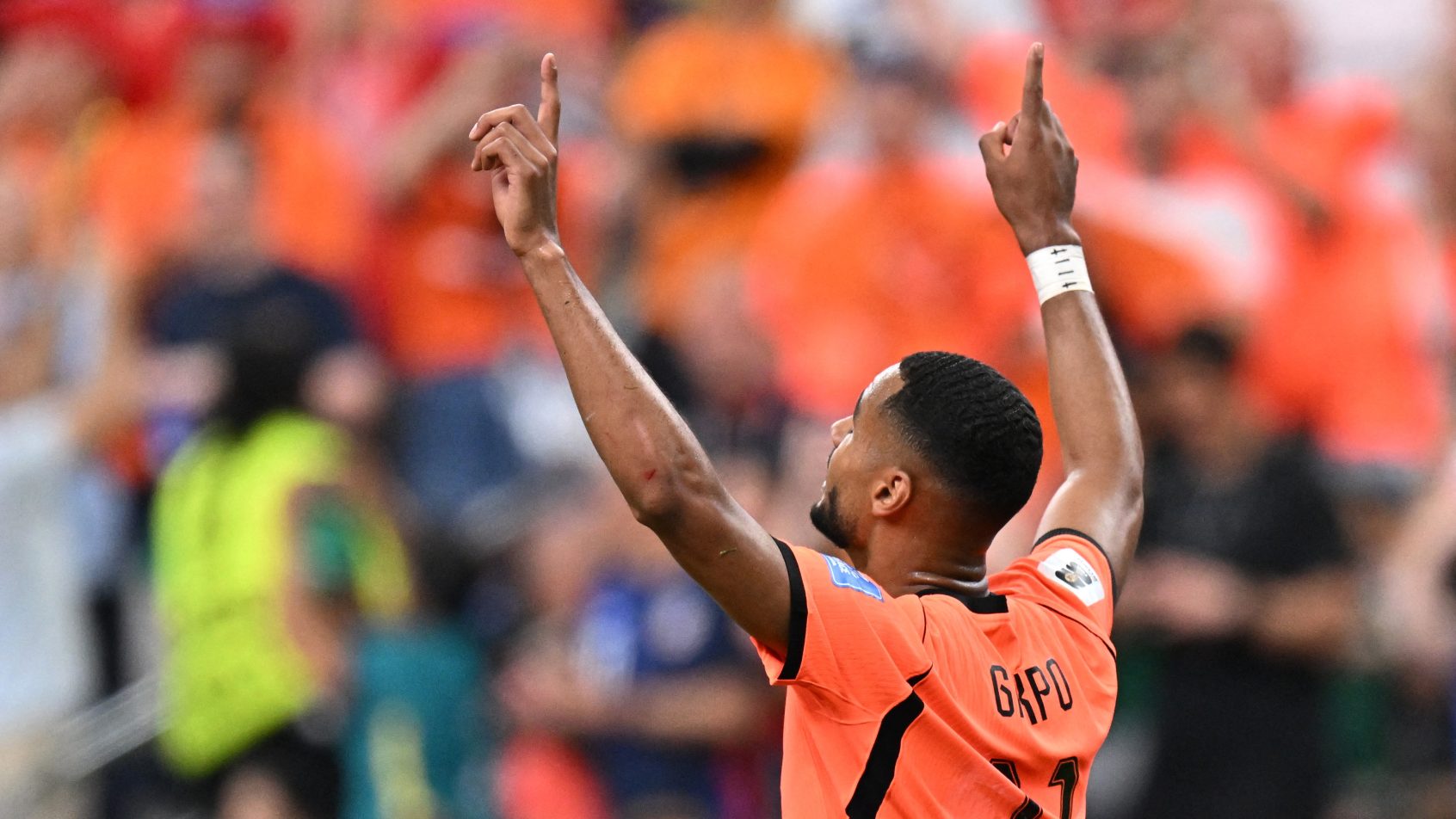 Netherlands' Cody Gakpo celebrating a goal