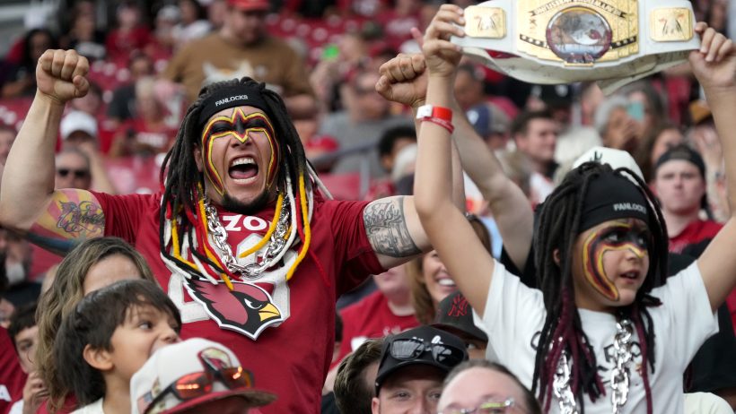 Arizona Cardinals