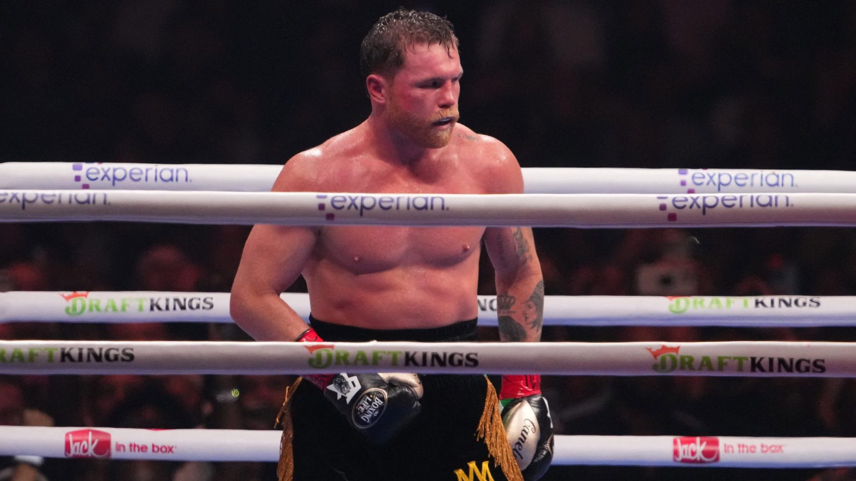 Canelo Alvarez in the ring during his loss to Terence Crawford.