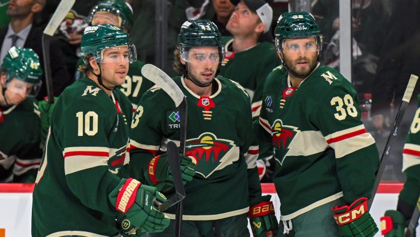 The Wild celebrate a goal against the Bruins.