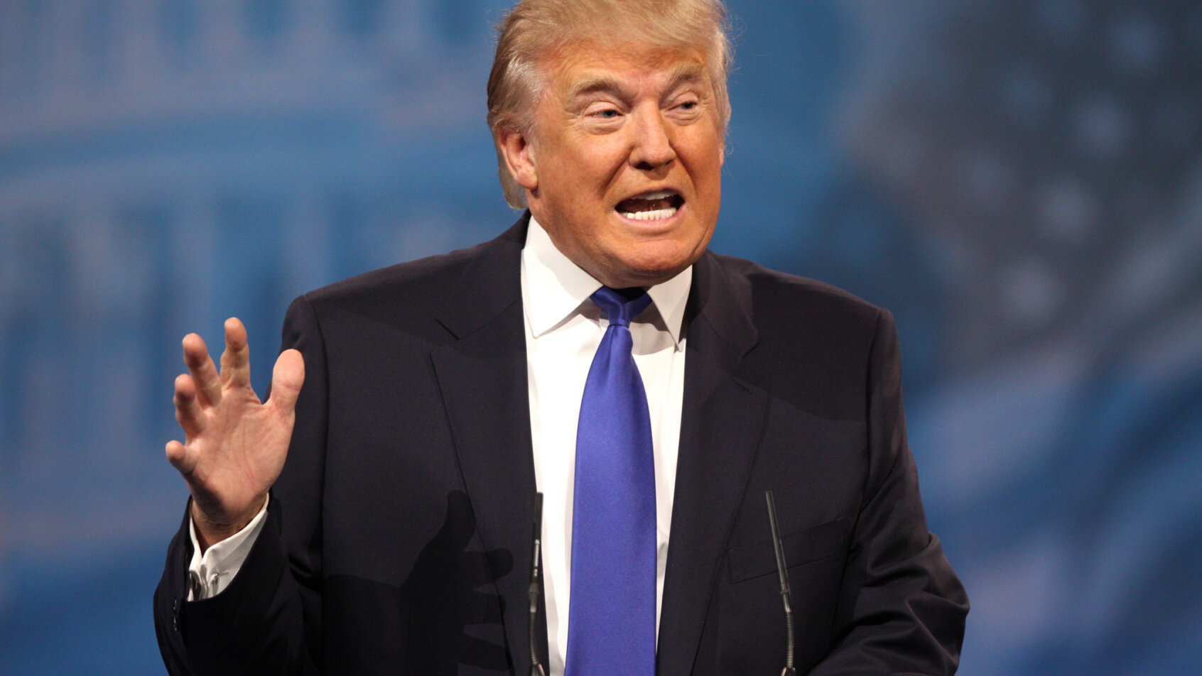 Donald Trump at the Stump