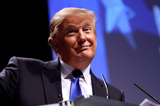 Donald Trump looking smug