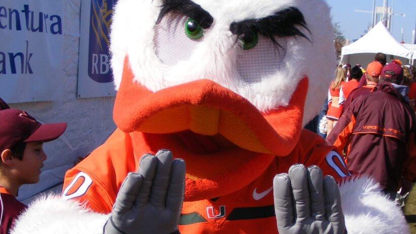 University of Miami mascot Sebastian the Ibis throwing up The U.