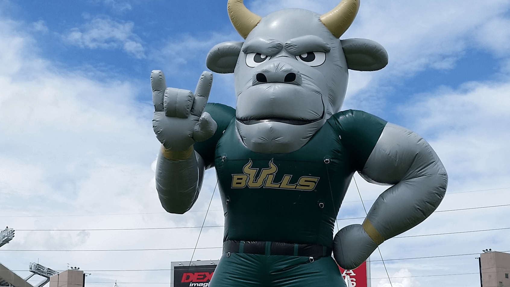 USF Bulls inflatable mascot