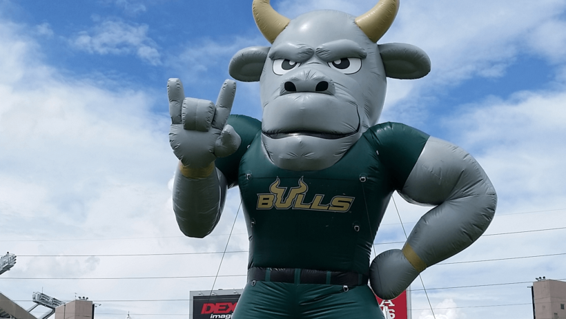 USF Bulls inflatable mascot