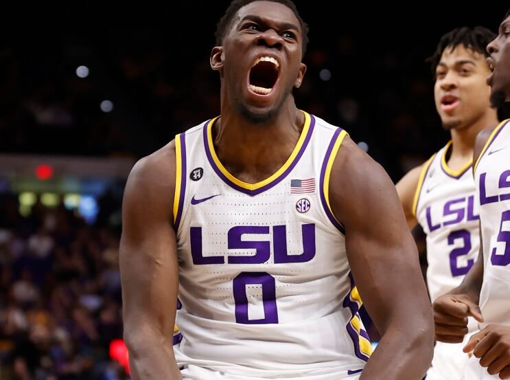 LSU Tigers forward Darius screaming