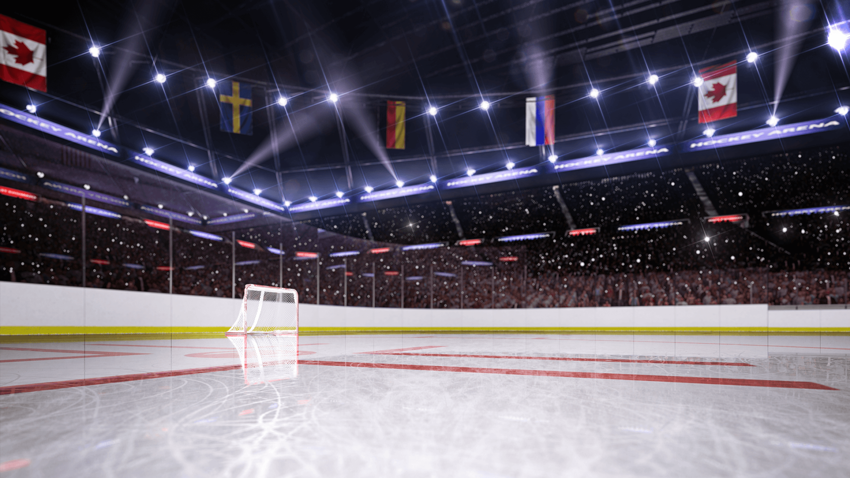 Hockey net on the ice in a hockey rink