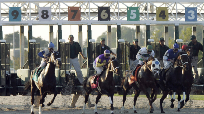 Jeff Ruby Stakes