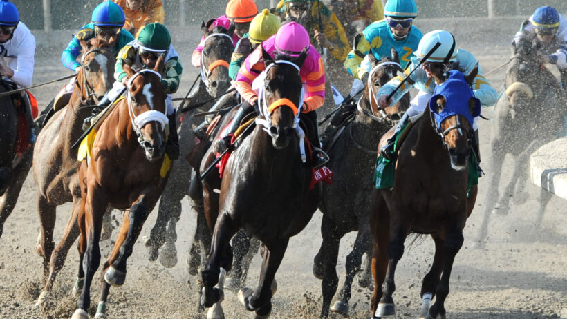 Louisiana Derby