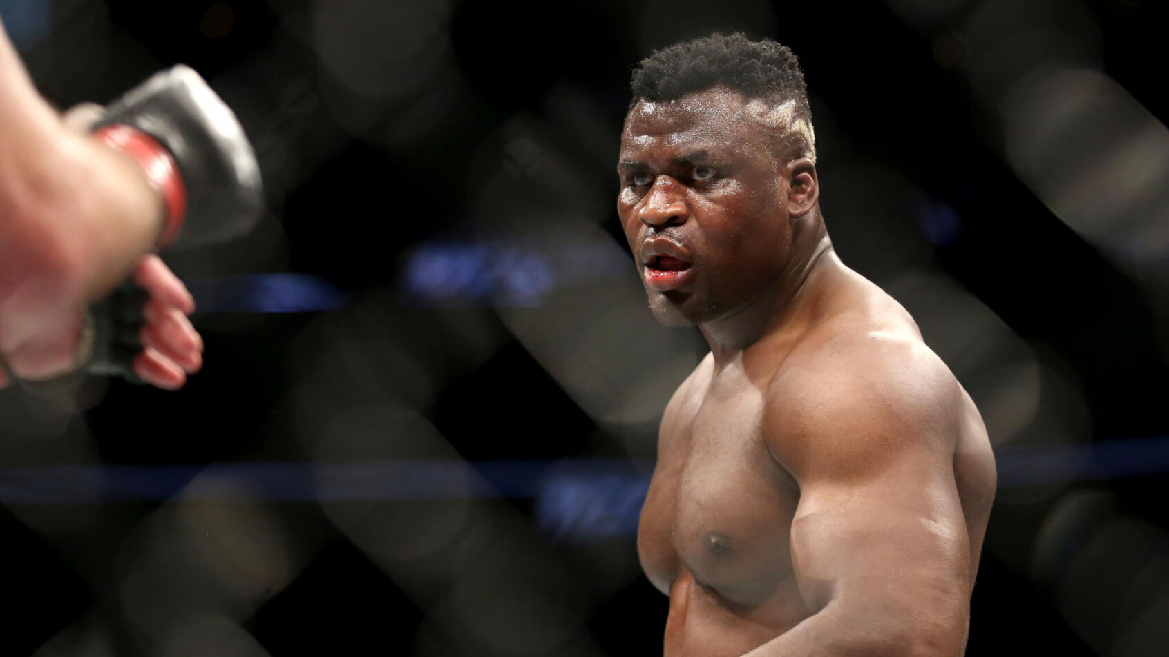 Francis Ngannou Sipe Miocic UFC 260