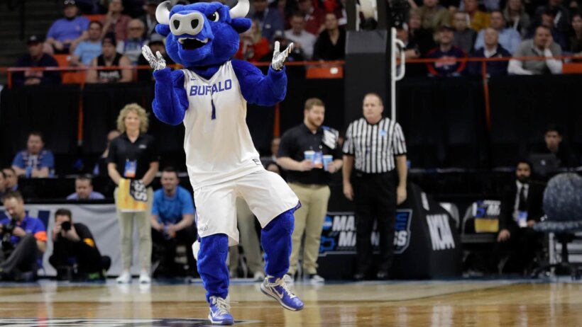 Buffalo mascot dancing