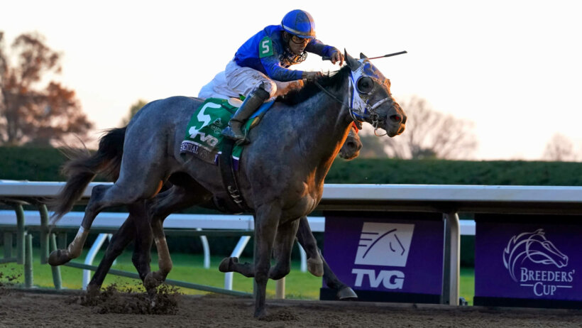 Southwest Stakes