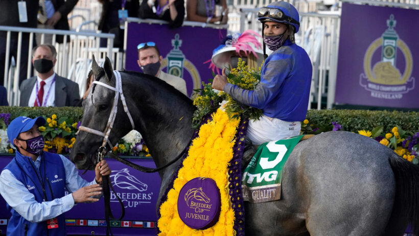 Blue Grass Stakes