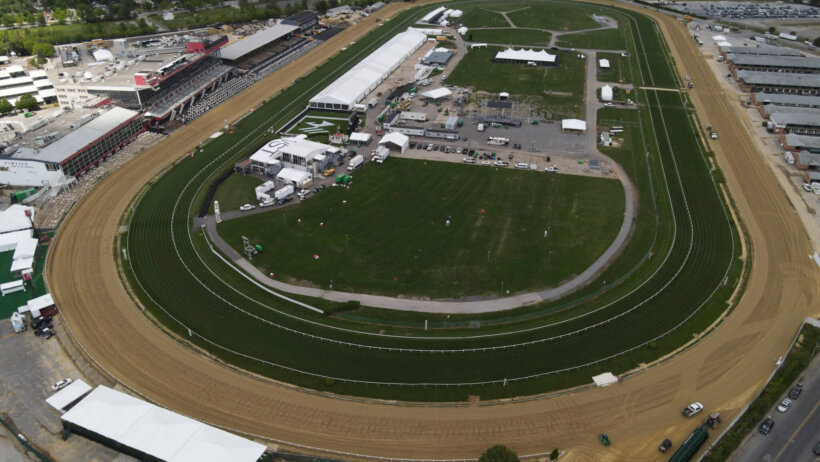 Black-Eyed Susan Stakes