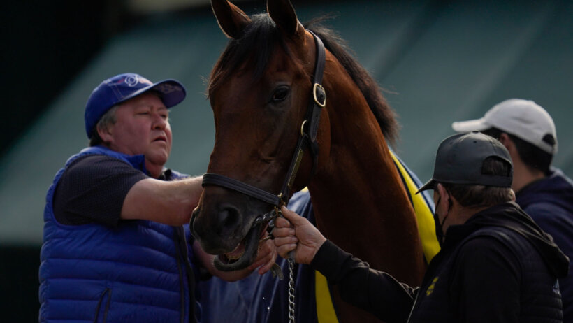 Preakness Stakes