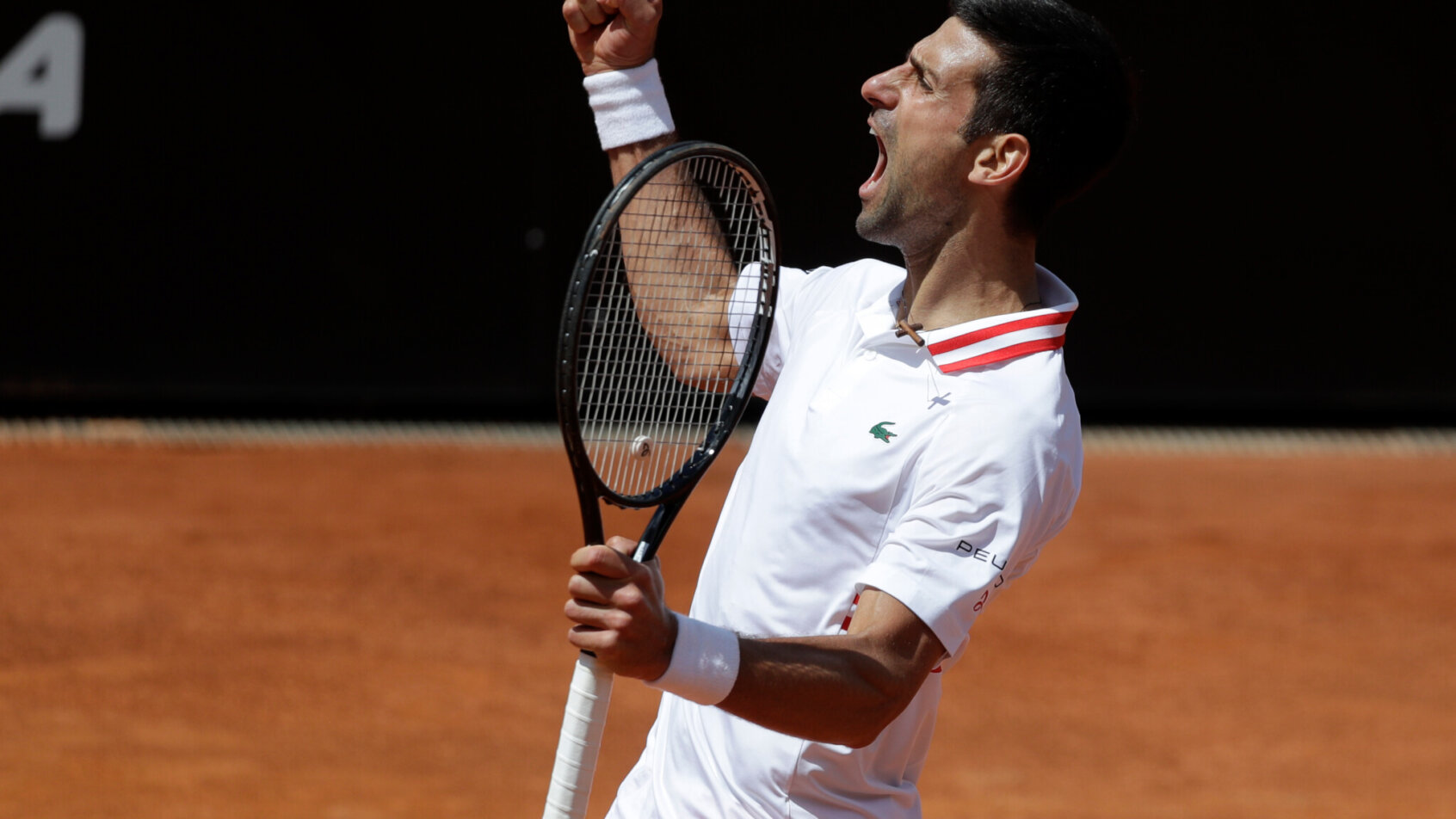 Novak Djokovic celebrating with a fist pump after winning a point during a tennis match.