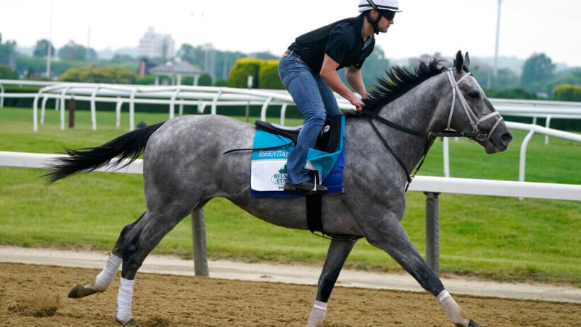 Belmont Stakes